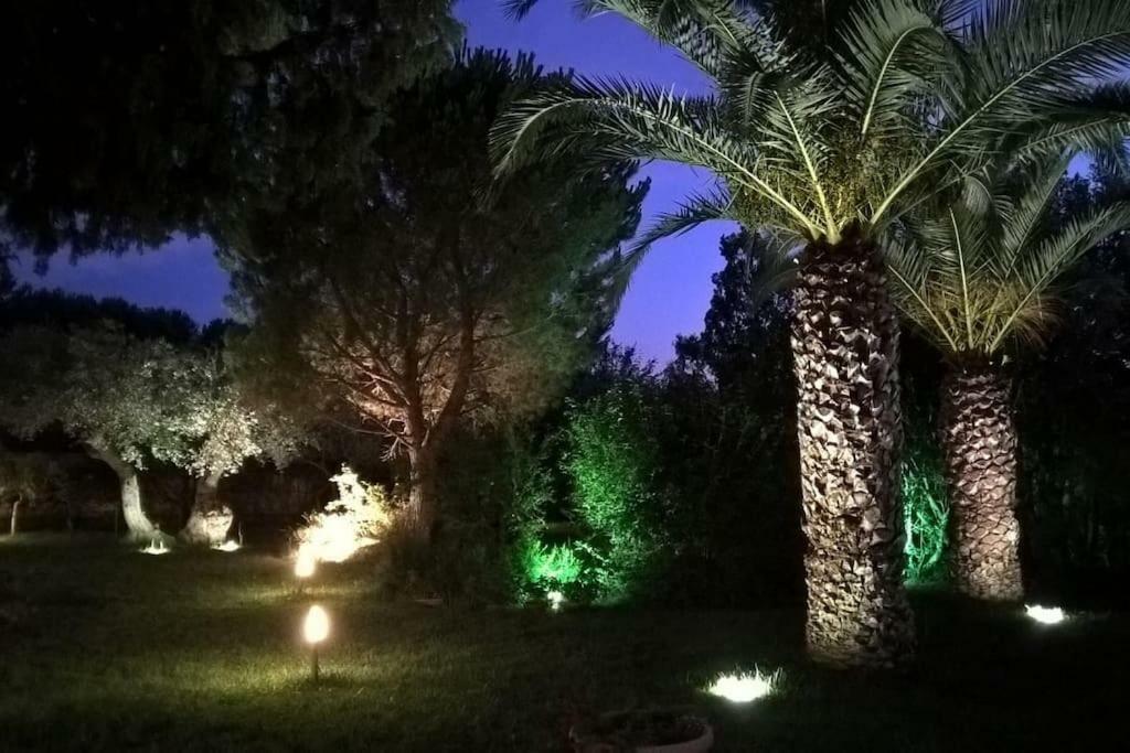 La Casetta Del Pettirosso Villa Conversano Exterior foto